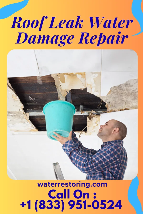 Roof Leak Water Damage Repair in Carbondale, KS
